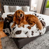 PupProtector™ Waterproof Throw Blanket - Brown Faux Cowhide from Paw.com