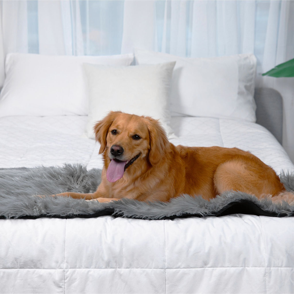PupProtector™ Waterproof Bed Runner - Charcoal Grey from Paw.com