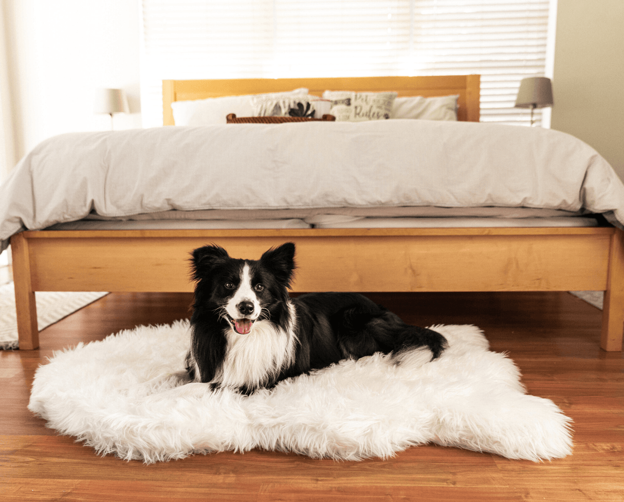PupRug by Paw.com™ Faux Fur Orthopedic Dog Bed - Curve Polar White from Paw.com