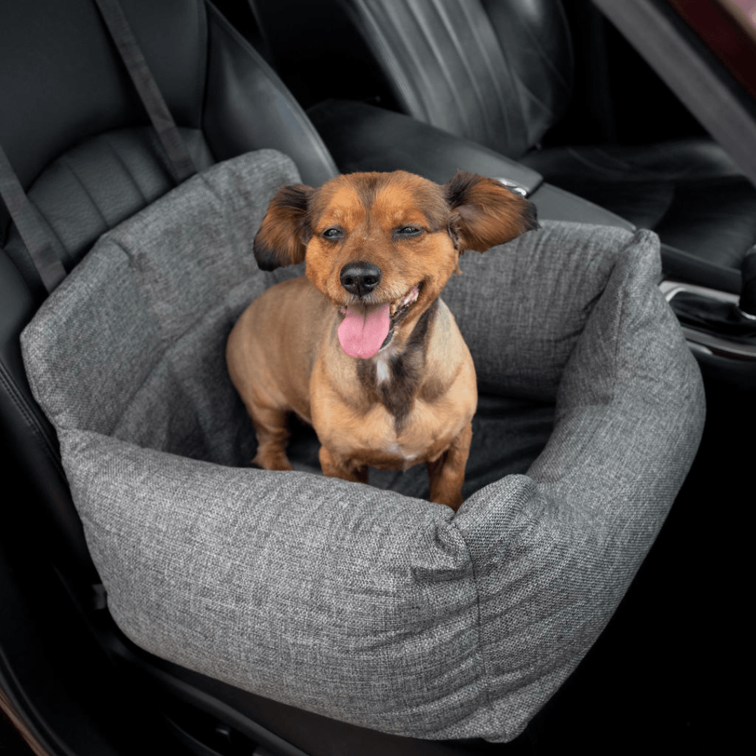 PupProtector™ Memory Foam Dog Car Bed From Paw.com