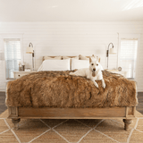 PupProtector™ Waterproof Throw Blanket - Sable Tan from Paw.com
