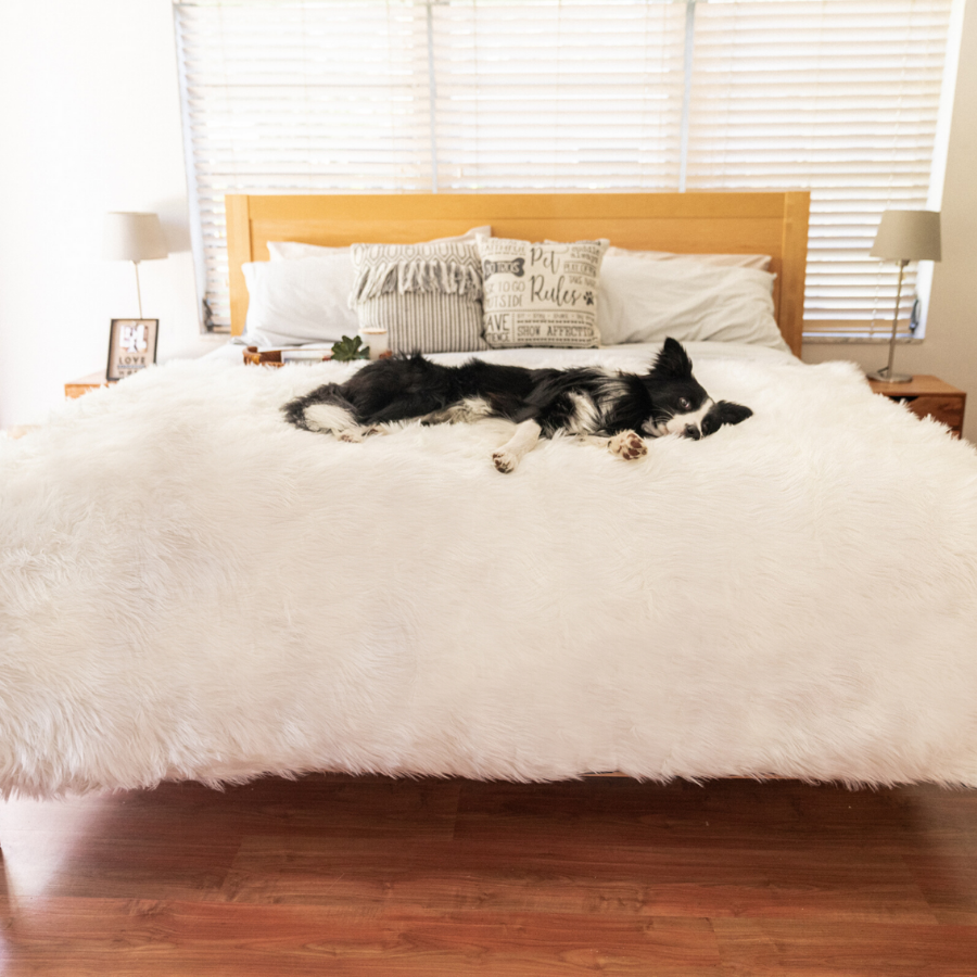 PupProtector™ Waterproof Throw Blanket - Polar White from Paw.com