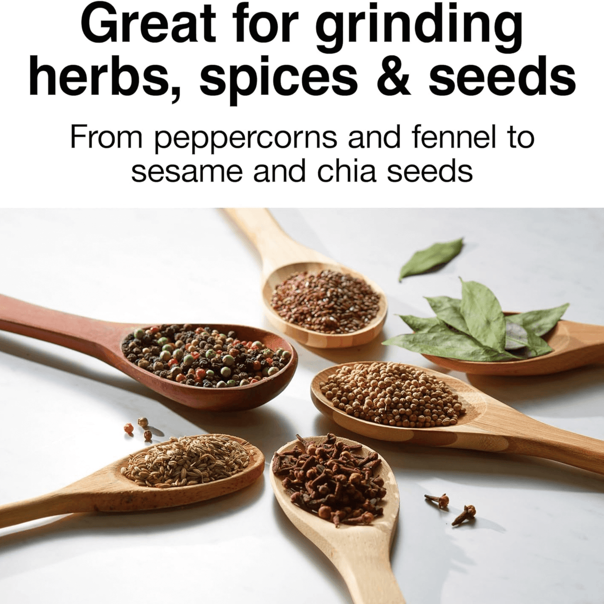 Proctor Silex Fresh Grind Electric Coffee and Spice Grinder from Jupiter Gear Home