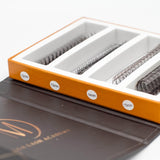 Mix Rapid 6D Promade Fans® - 1000 Fans from Mega Lash Academy