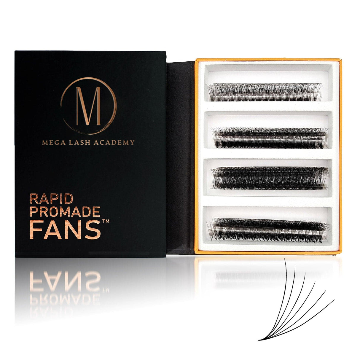 Mix Rapid 6D Promade Fans® - 1000 Fans from Mega Lash Academy