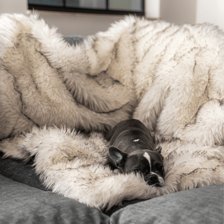 PupProtector™ Waterproof Throw Blanket - White with Brown Accents from Paw.com