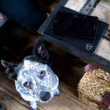 SYB Tablet Pad From Shield Your Body
