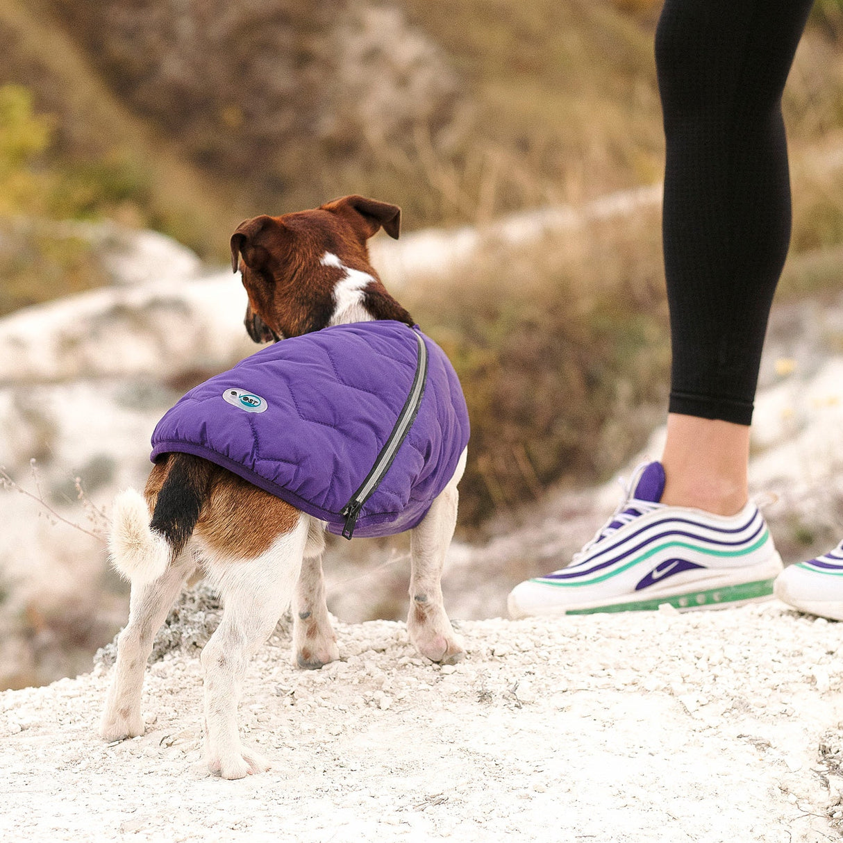 Sustainable Eco-Friendly Dog Jacket / Vest - Made in Ukraine from Bonne et Filou