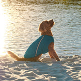 Sustainable Eco-Friendly Dog Jacket / Vest - Made in Ukraine from Bonne et Filou