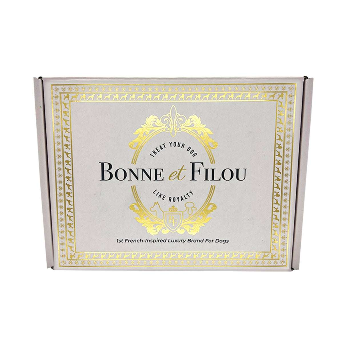 Summer Themed Dog Treats Gift Box from Bonne et Filou