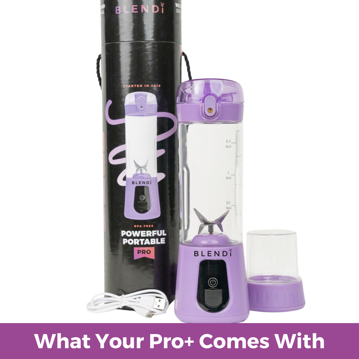 Pro+ Ice Crushing Portable Blender (17oz) from BLENDi