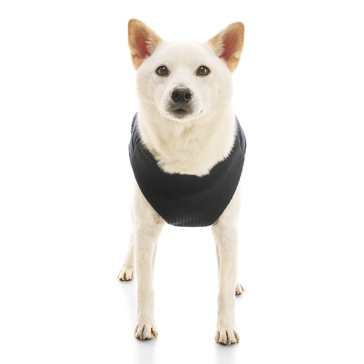 Padded Vest Lift from Gooby