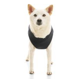 Padded Vest Lift from Gooby