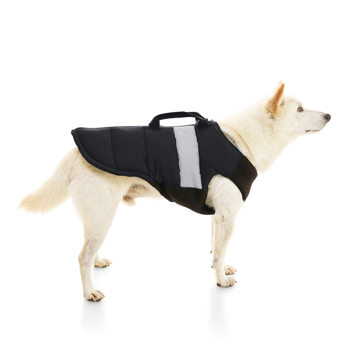 Padded Vest Lift from Gooby