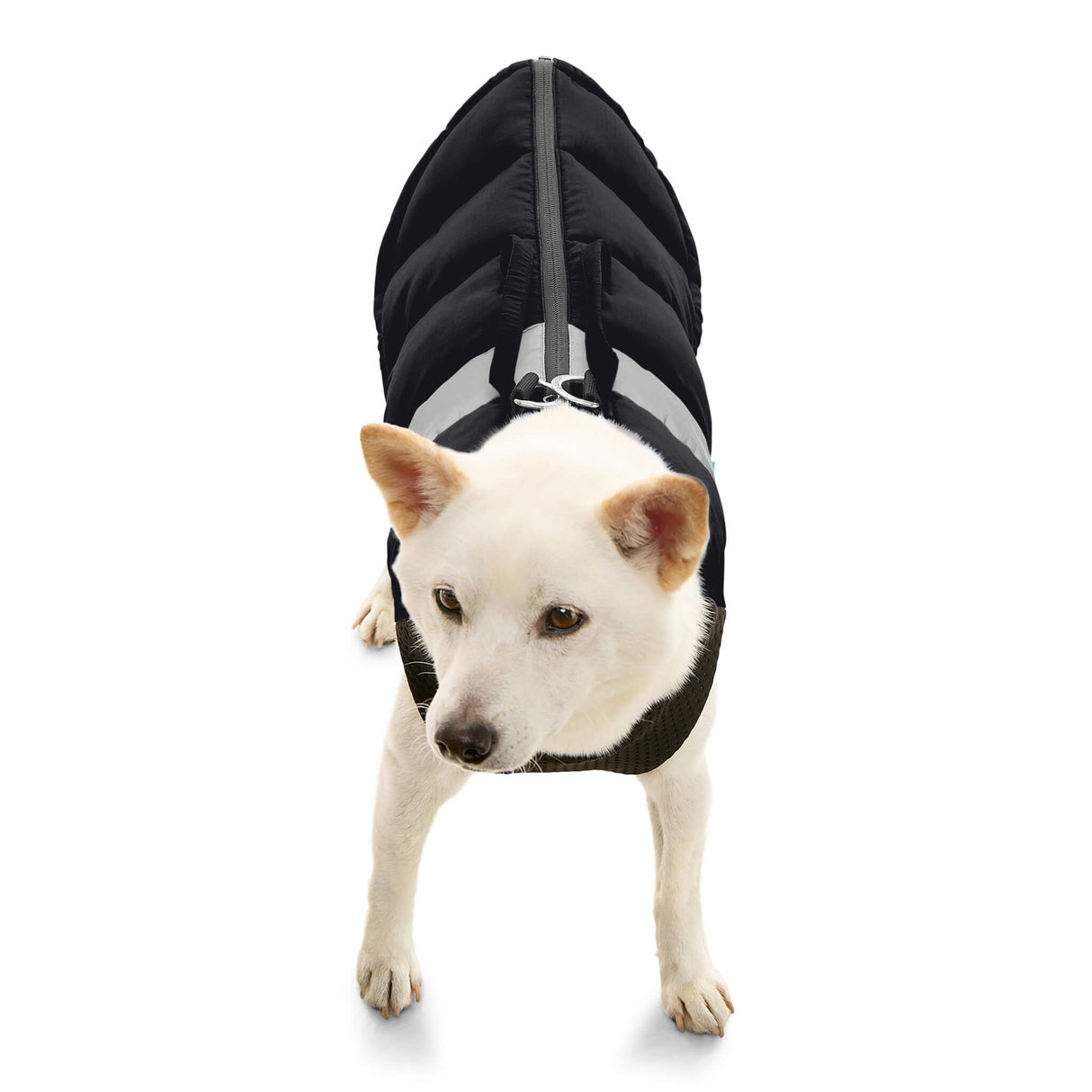 Padded Vest Lift from Gooby
