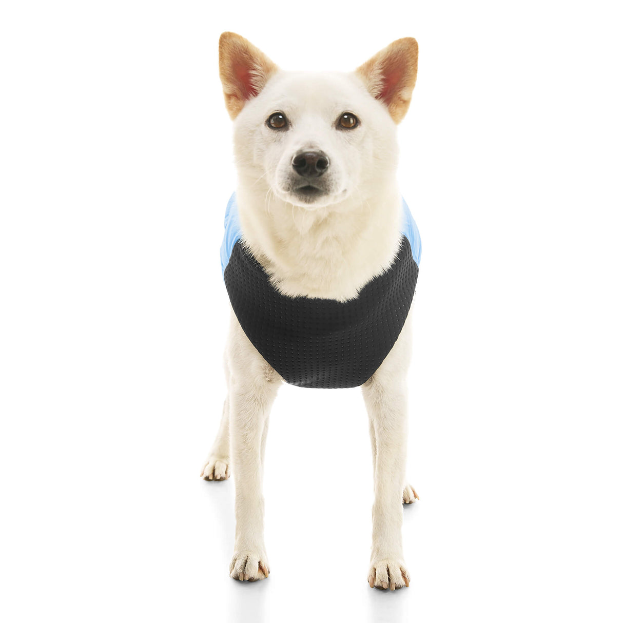 Padded Vest Lift from Gooby