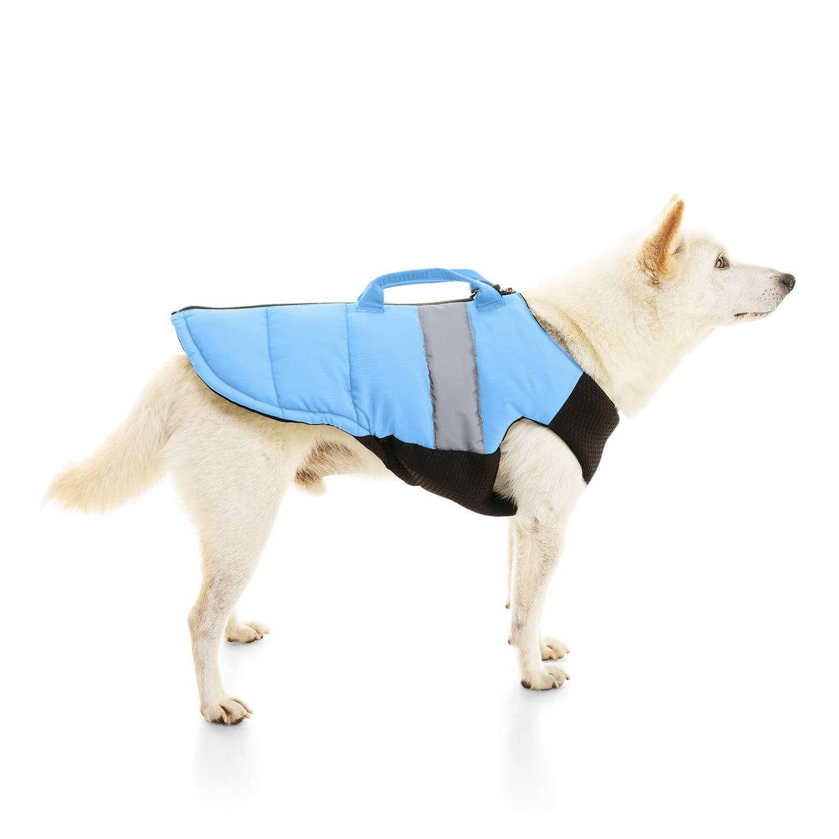 Padded Vest Lift from Gooby
