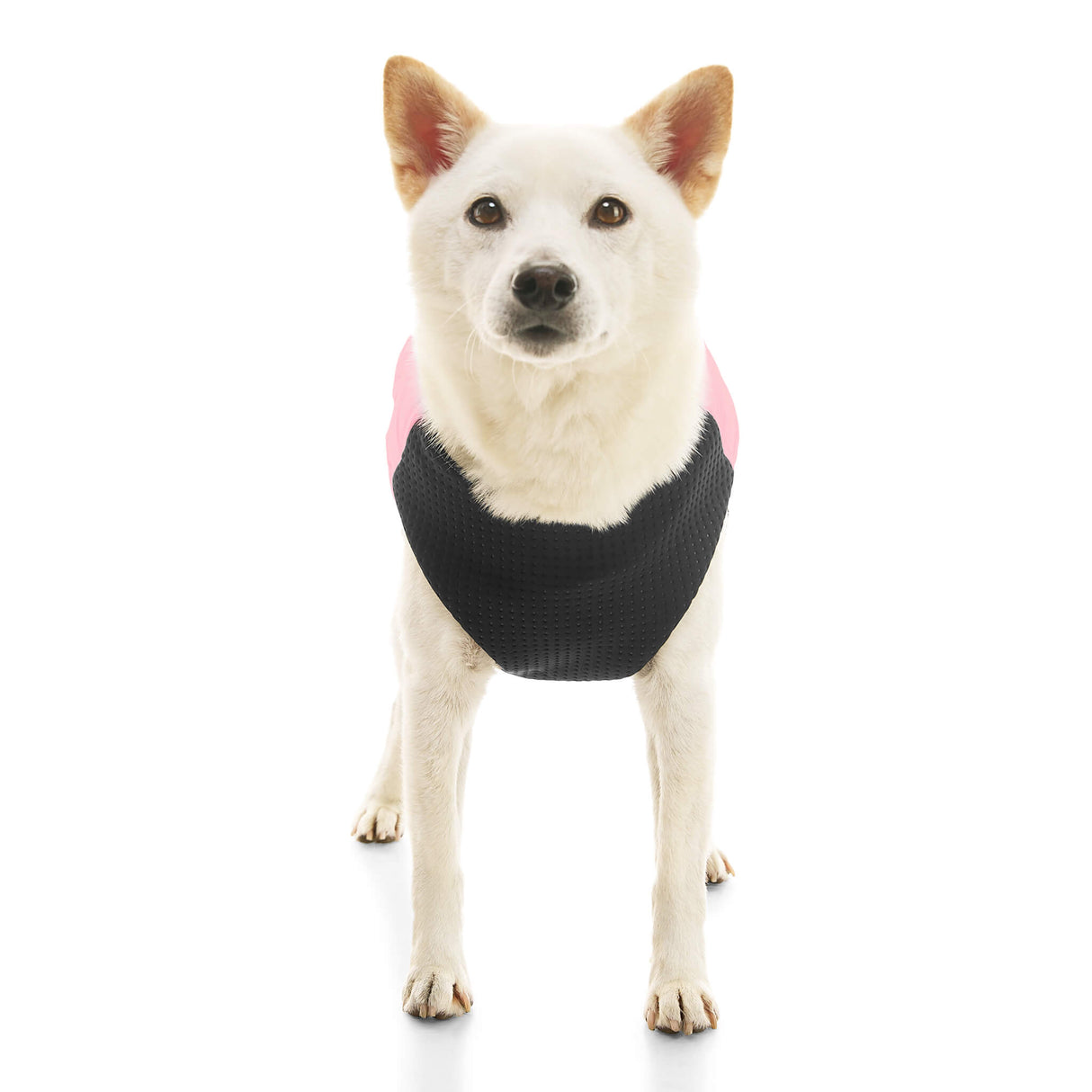 Padded Vest Lift from Gooby