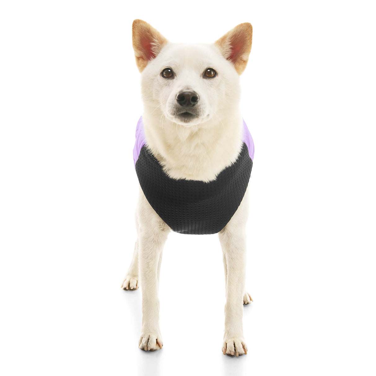 Padded Vest Lift from Gooby