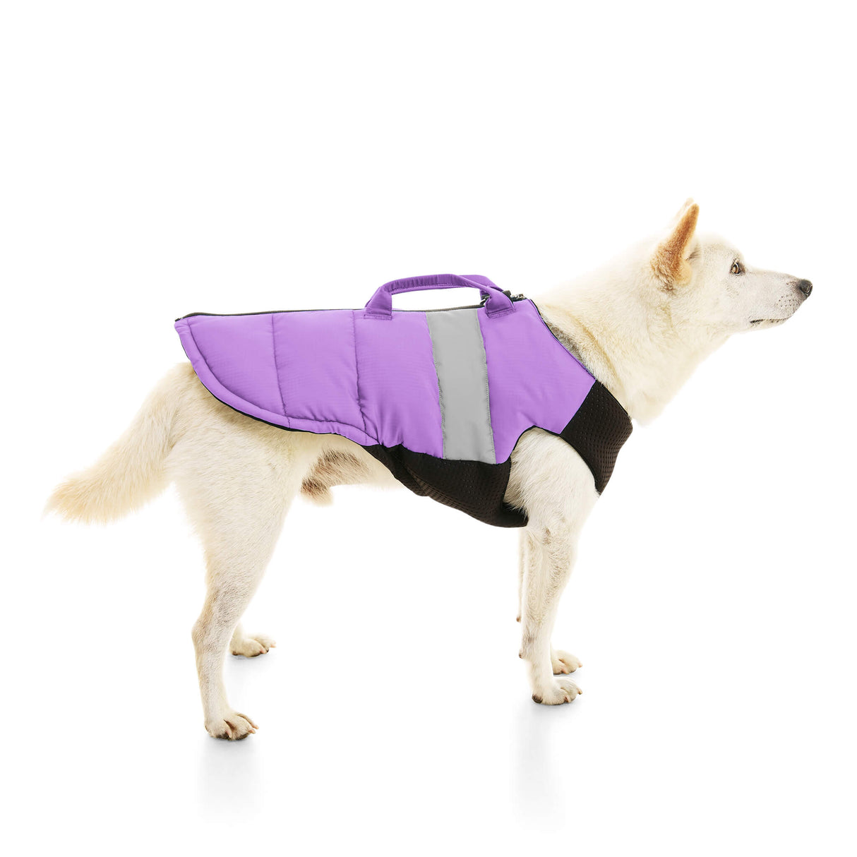 Padded Vest Lift from Gooby