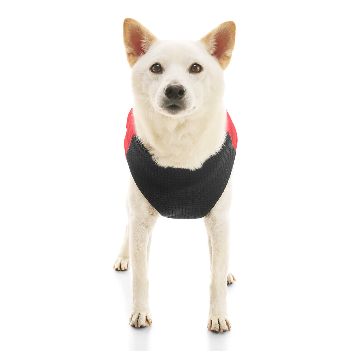 Padded Vest Lift from Gooby