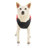 Padded Vest Lift from Gooby