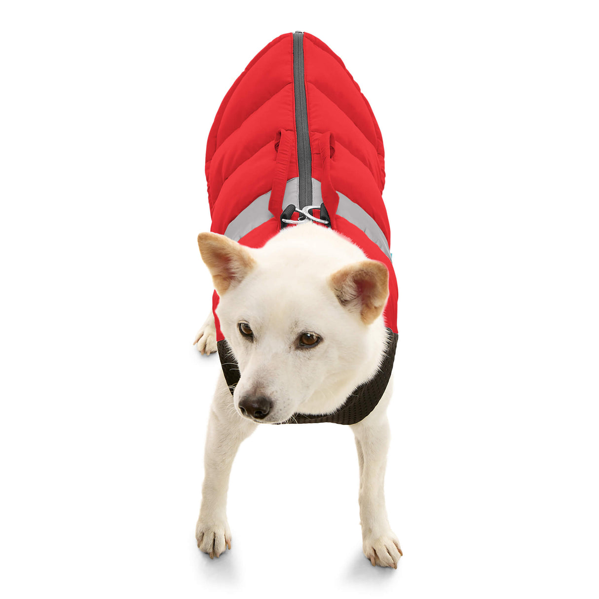 Padded Vest Lift from Gooby