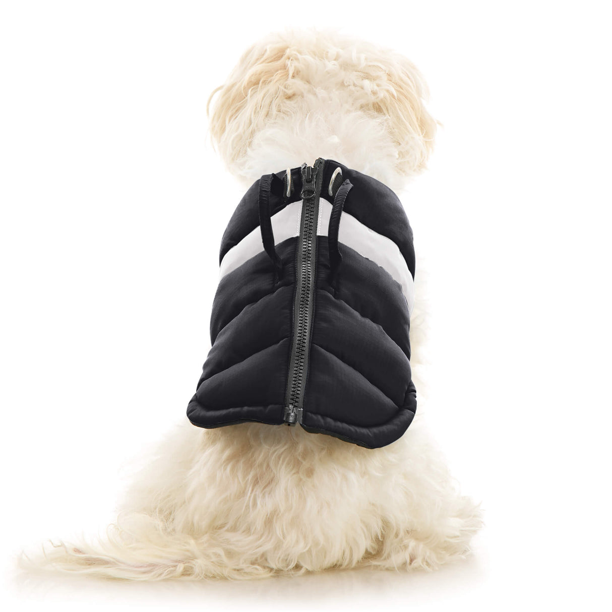 Padded Vest Lift from Gooby