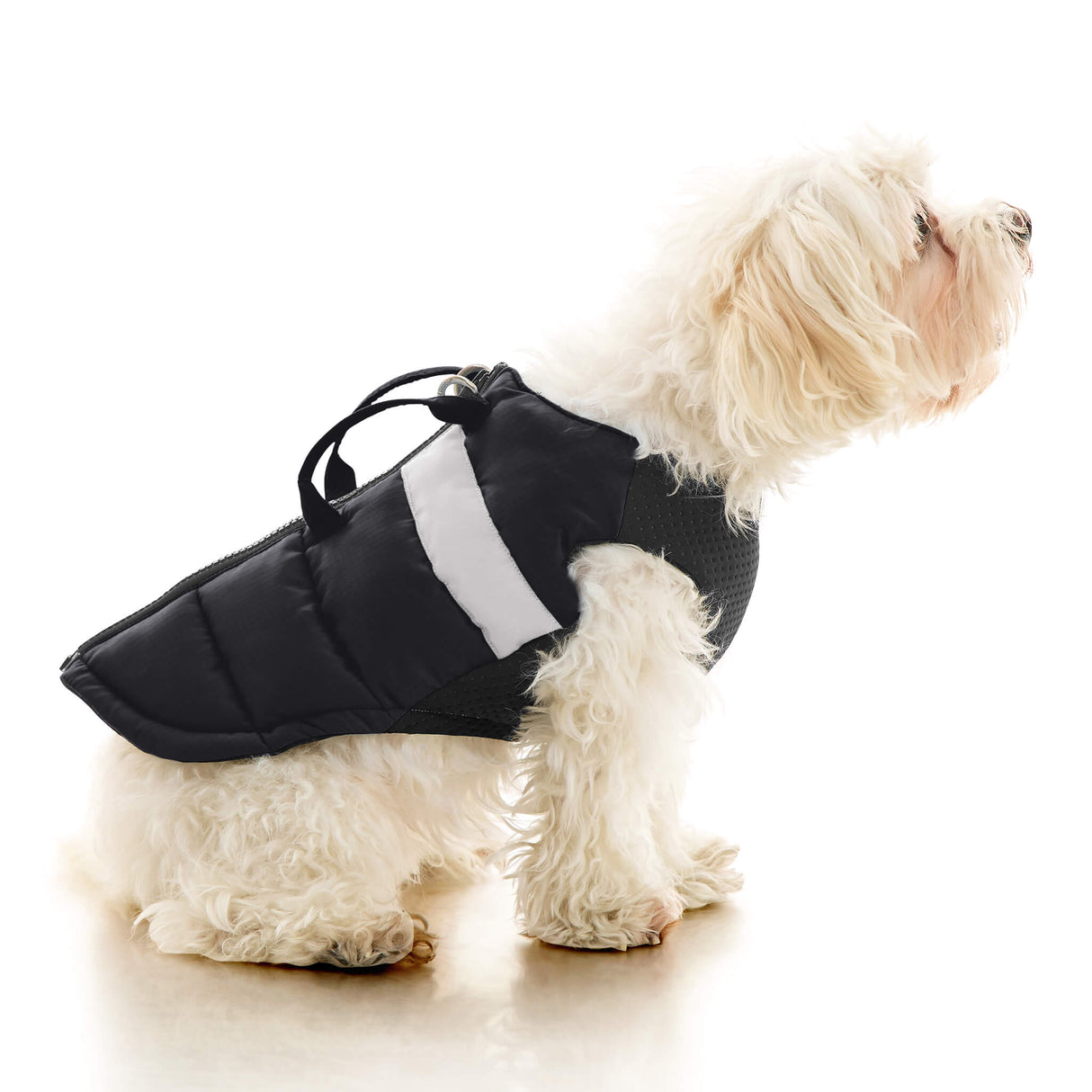Padded Vest Lift from Gooby