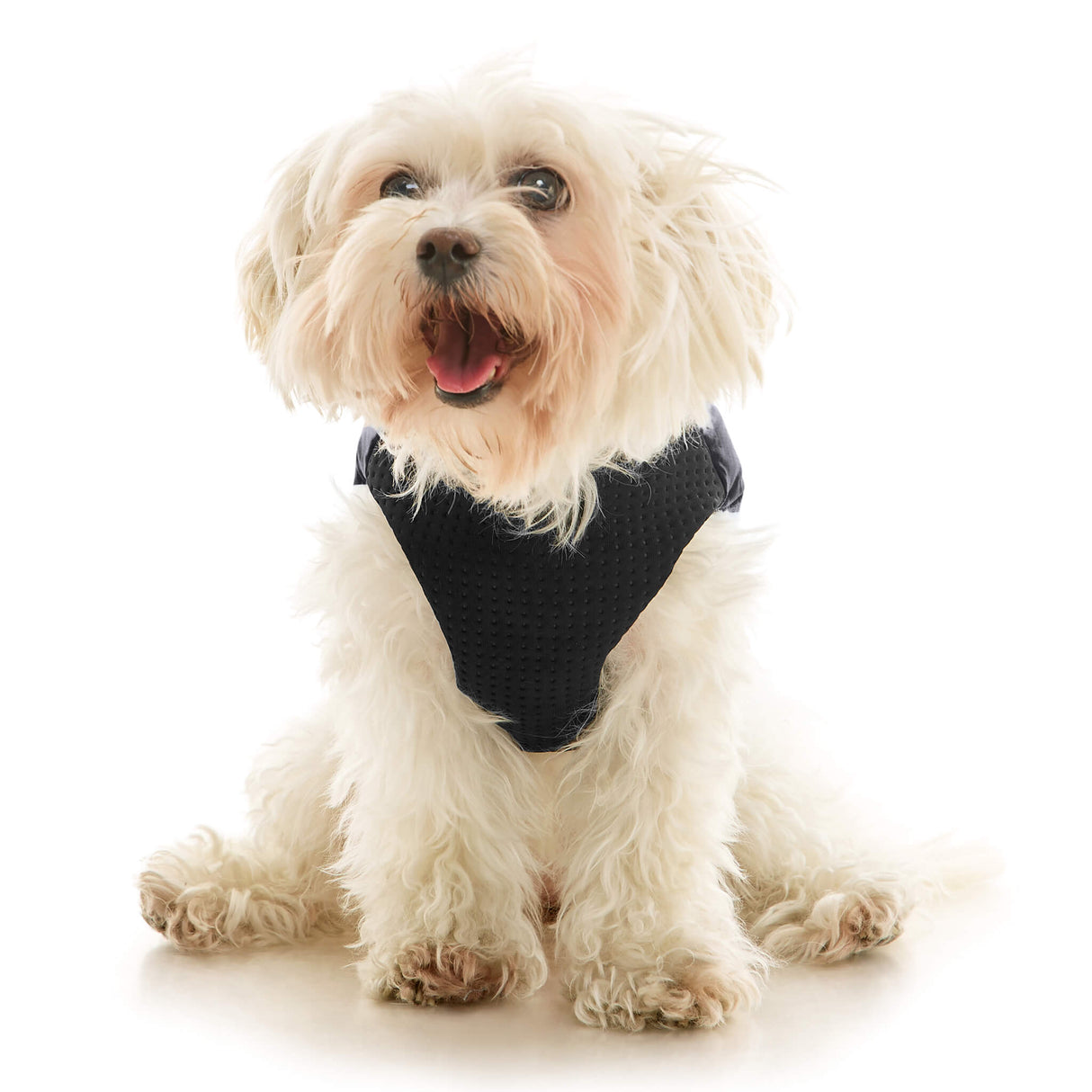 Padded Vest Lift from Gooby