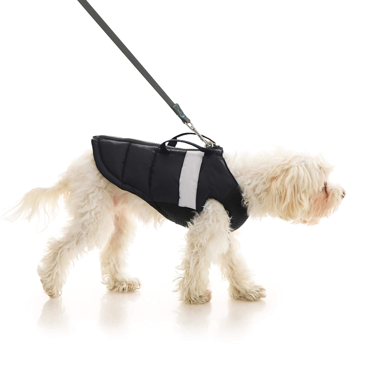 Padded Vest Lift from Gooby