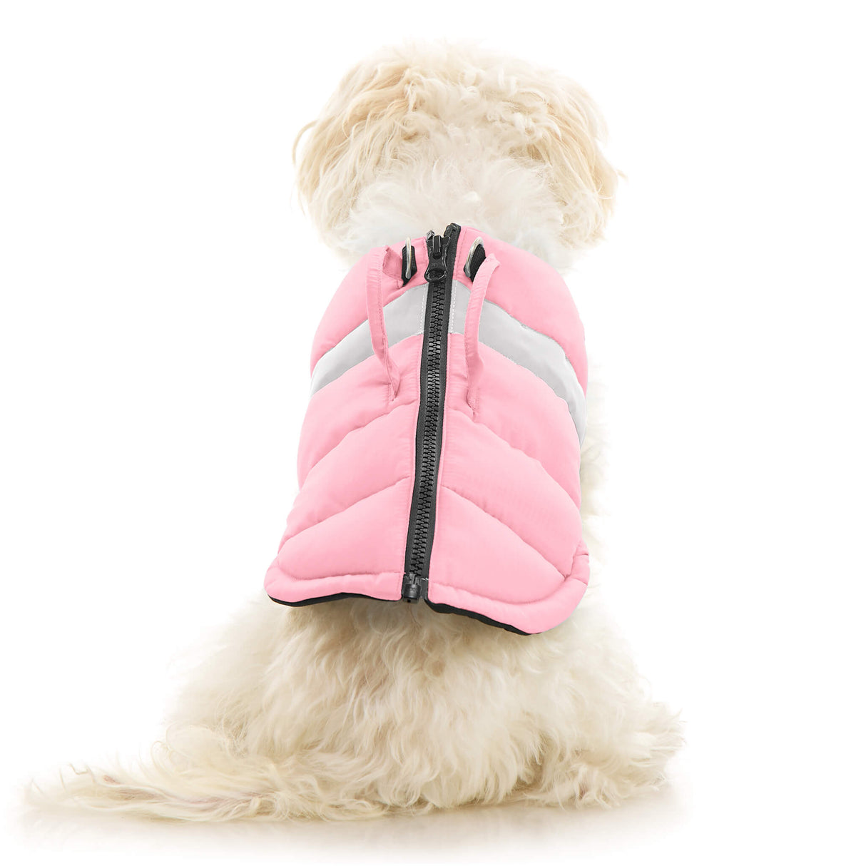 Padded Vest Lift from Gooby