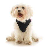 Padded Vest Lift from Gooby