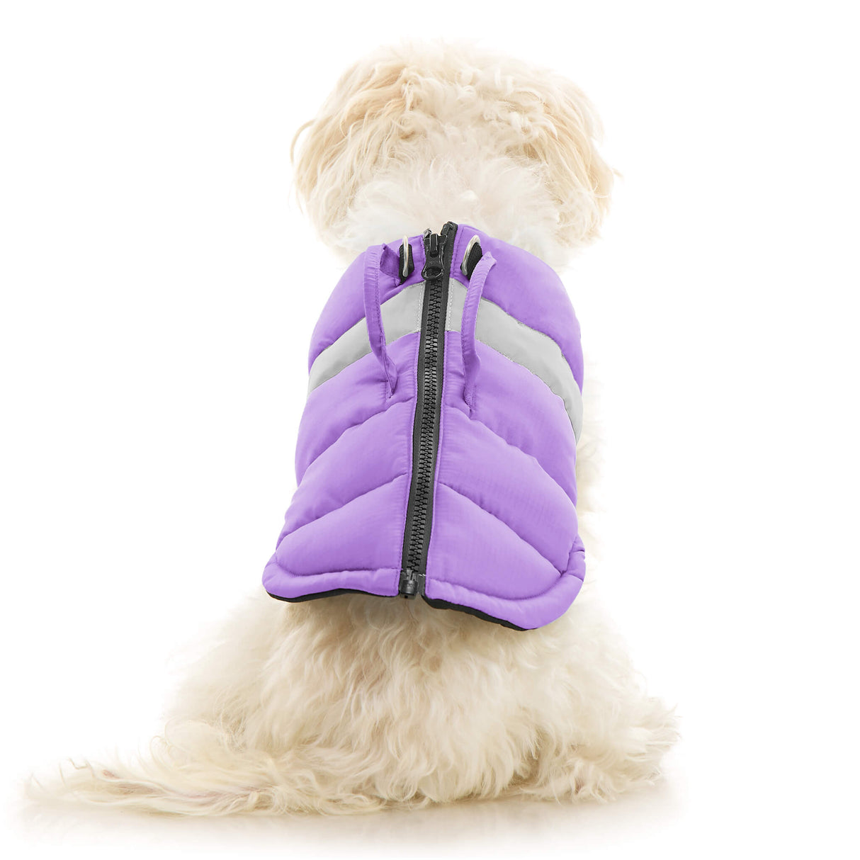 Padded Vest Lift from Gooby