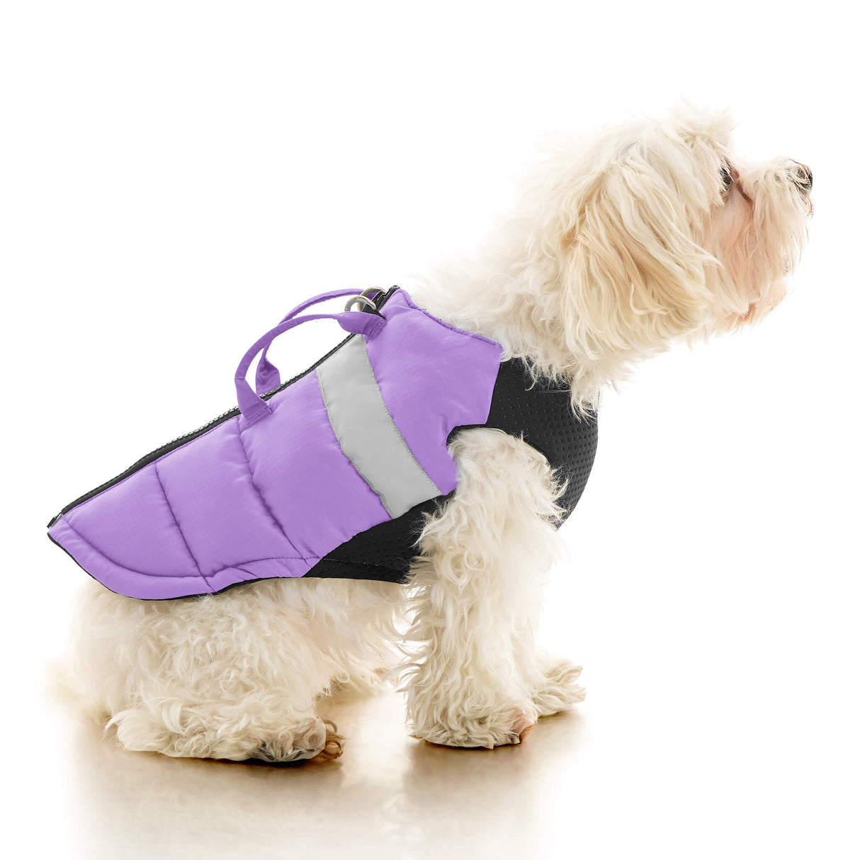 Padded Vest Lift from Gooby
