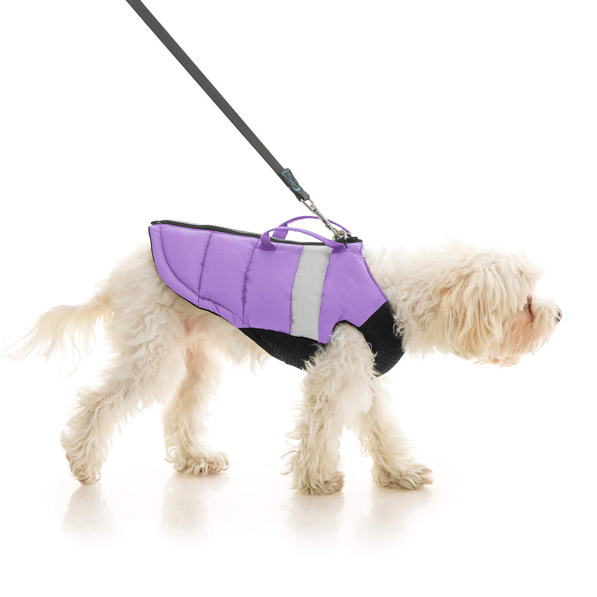 Padded Vest Lift from Gooby