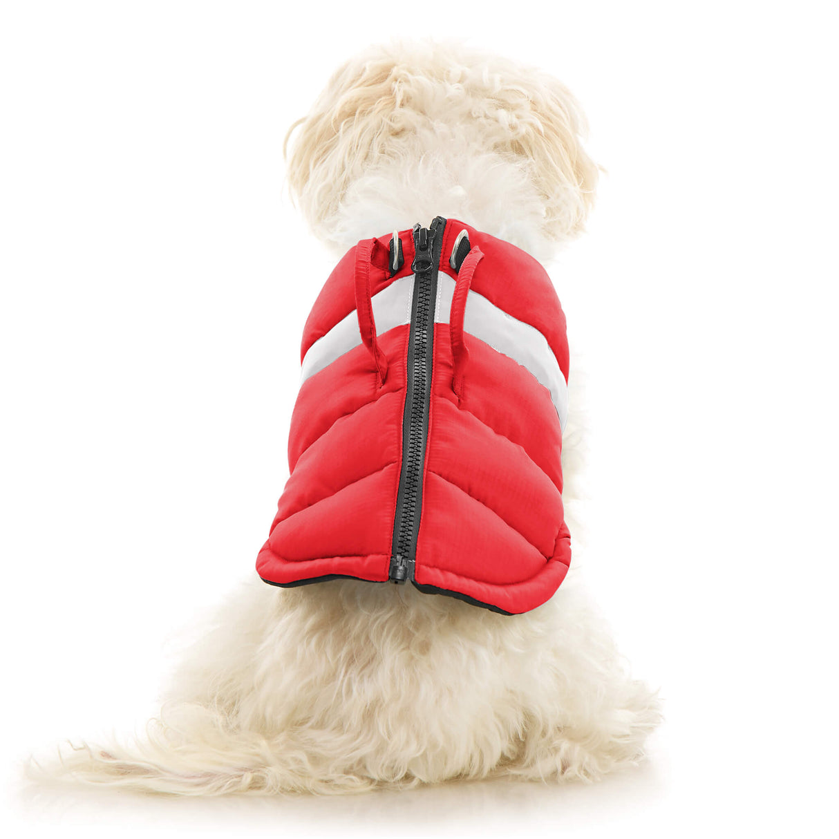 Padded Vest Lift from Gooby