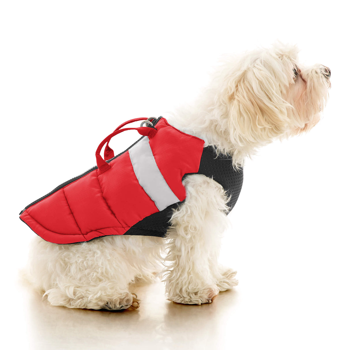 Padded Vest Lift from Gooby
