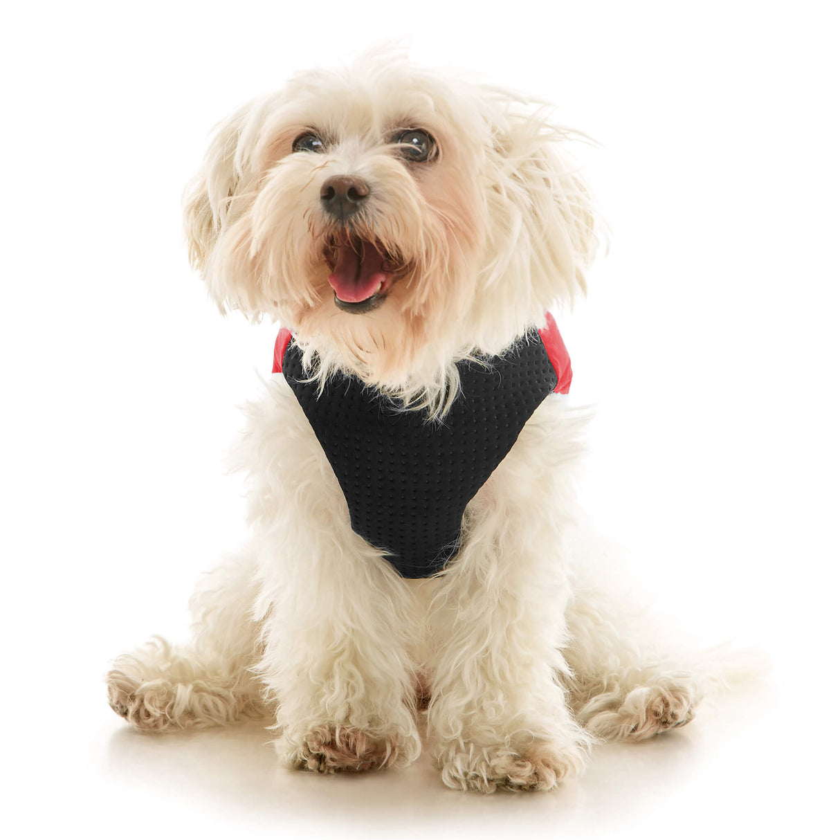 Padded Vest Lift from Gooby