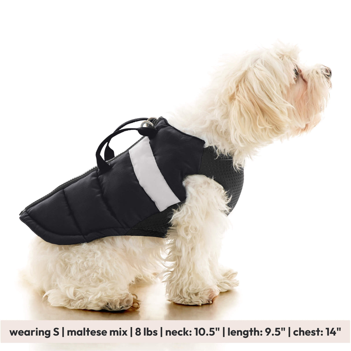 Padded Vest Lift from Gooby