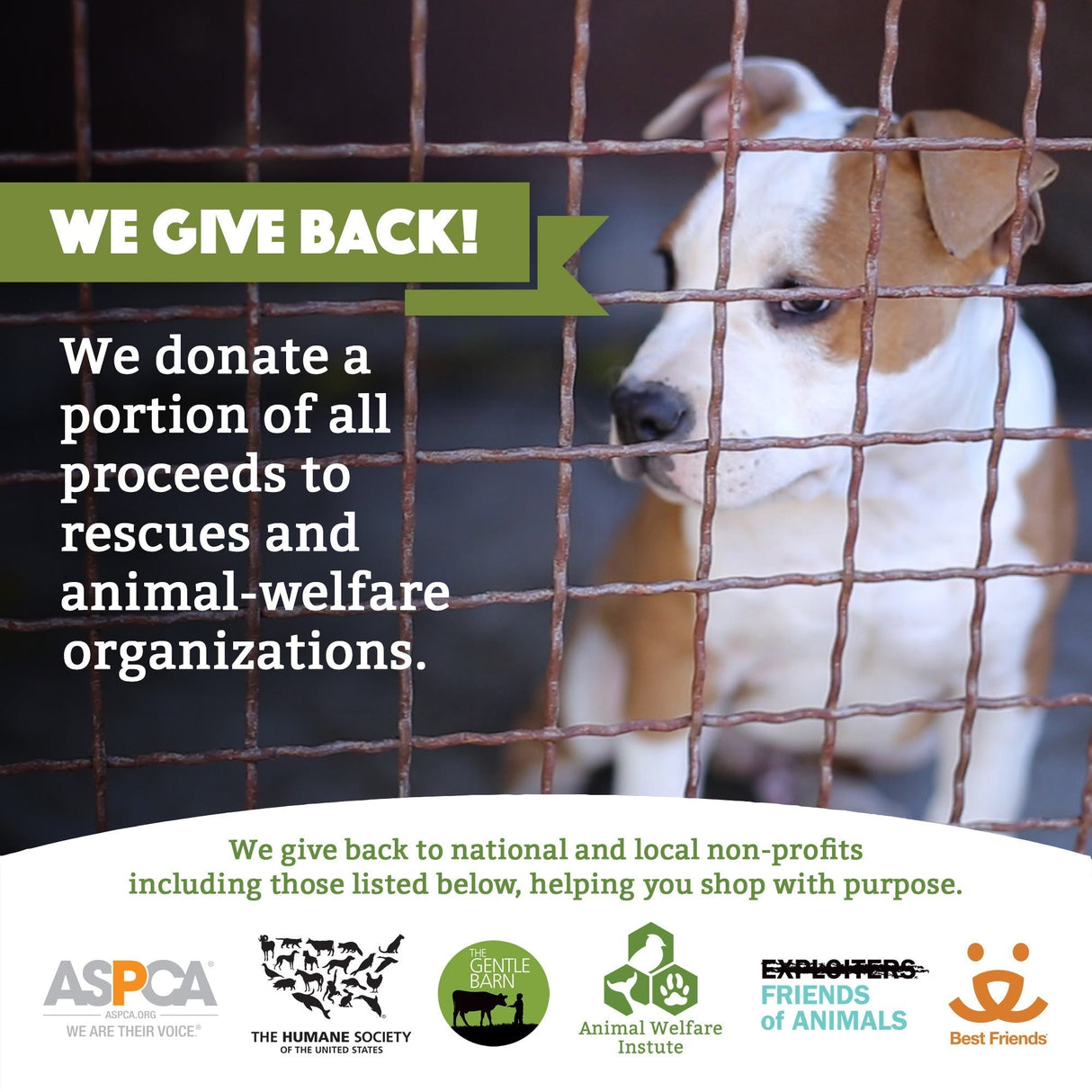 Biodegradable Grooming Wipes - Lavender Scent (60 Wipes) from Doggy Do Good®
