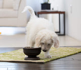 Summit Elevated Dog Bowl from Pet Junkie