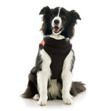 Zip Up Sherpa Vest from Gooby