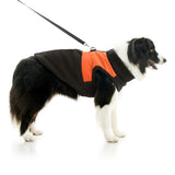 Zip Up Sherpa Vest from Gooby
