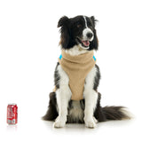 Zip Up Sherpa Vest from Gooby
