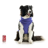 Zip Up Sherpa Vest from Gooby