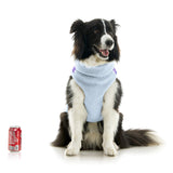 Zip Up Sherpa Vest from Gooby