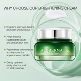 Aloe Brightening Skin Cream from ALODERMA