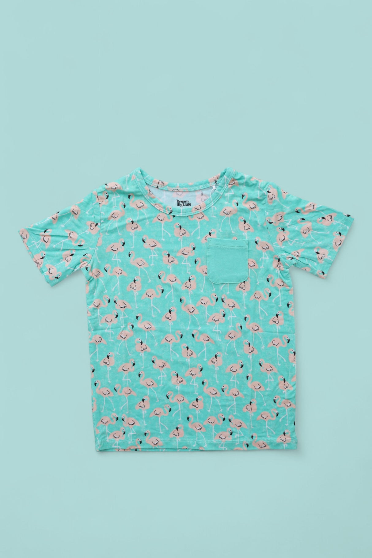 MINGLING MINGOS DREAM POCKET TEE from DREAM BIG LITTLE CO