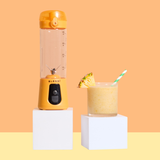 Pro+ Ice Crushing Portable Blender (17oz) from BLENDi